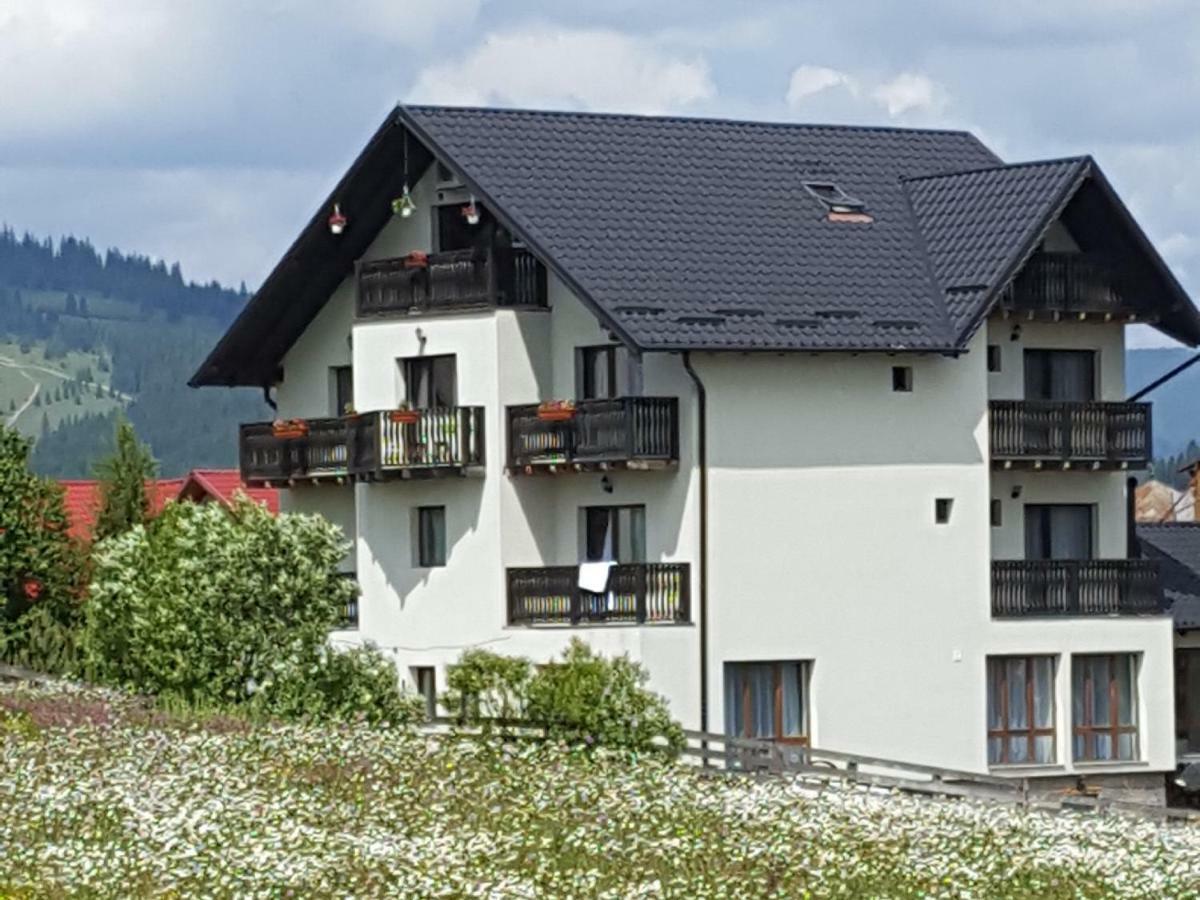 Casa Dar&And Hotel Vatra Dornei Bagian luar foto